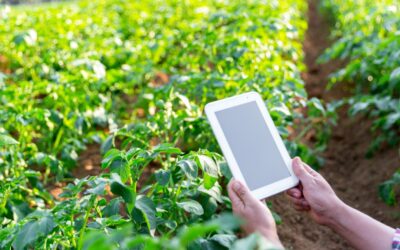 Agricoltura 4.0, come l’intelligenza artificiale può stravolgere il settore